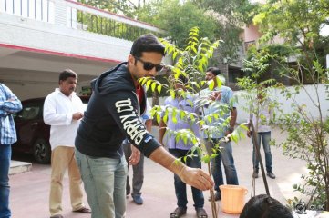 Nithin At Haritha Haaram Event